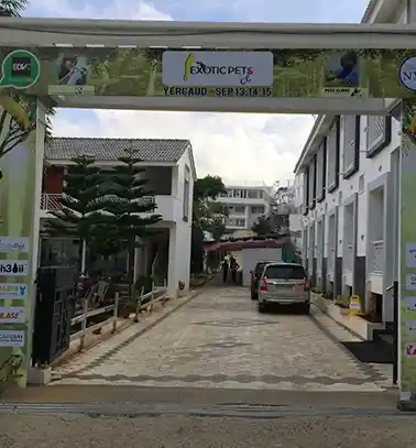Dealers Meet Event - Versatility Event Management